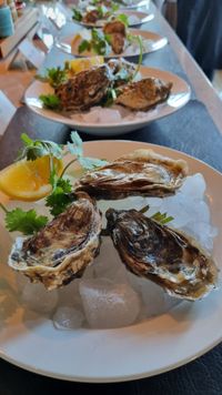 oesters 1