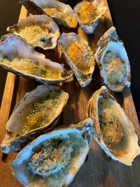 oesters 5